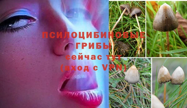 первитин Балахна